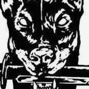 Meet your Posher, Kuron